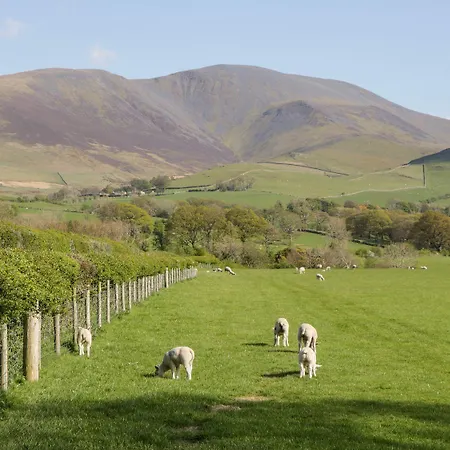 Lakeland View *