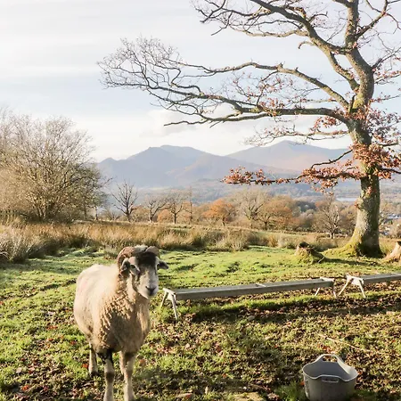 Lakeland View * Keswick (Cumbria)