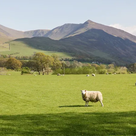 Lakeland View *